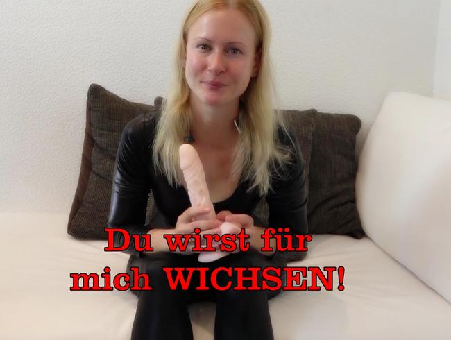 Du wirst für mich WICHSEN!!!