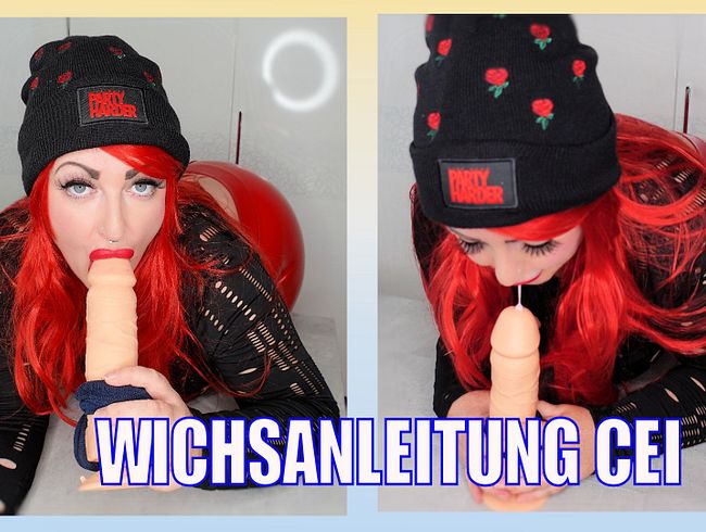 WICHSANLEITUNG CEI